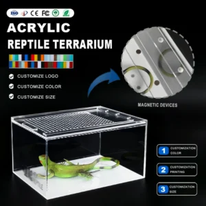 Modern Customized Acrylic Reptile Display Box Transparent Insect Reptile Terrarium Tarantula Enclosures