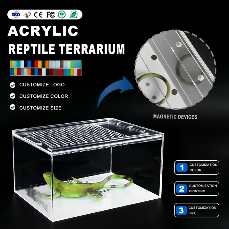 Modern Customized Acrylic Reptile Display Box Transparent Insect Reptile Terrarium Tarantula Enclosures