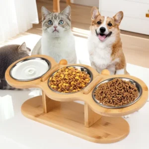 Modern Eco Friendly Stainless Steel Pet Bowl Home Use Inclined Neck Protection Elevated Dog Cat Feeder with Wood Stand