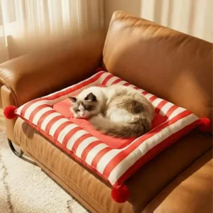 Modern Fashion Solid Rectangle Dog Cat Sofa Bed Outdoor Waterproof Non Skid Bottom Orthopedic Eco Friendly Memory Foam Fiber