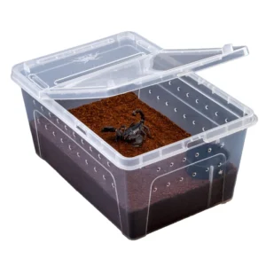 Modern Luxury Reusable PET Small Animal Reptile Feeding Box with Double Opening Buckle Eco Friendly Plastic Material