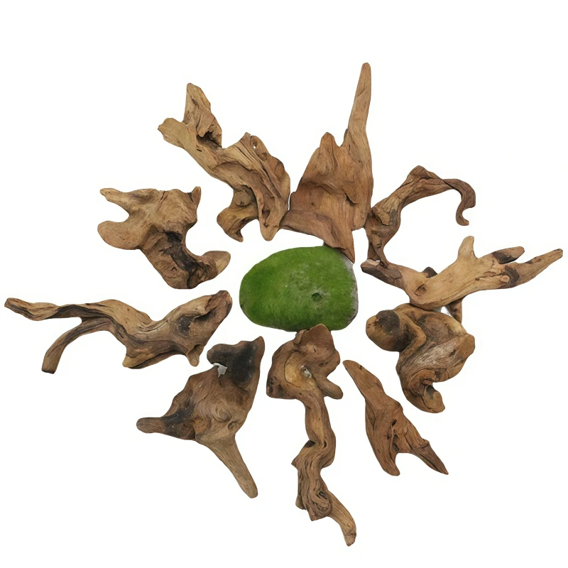 Modern Natural Drift Wood Spider Aquarium Ornament Eco friendly Fish Tank Decor for Indoor and Outdoor Use From Bags Packaging
