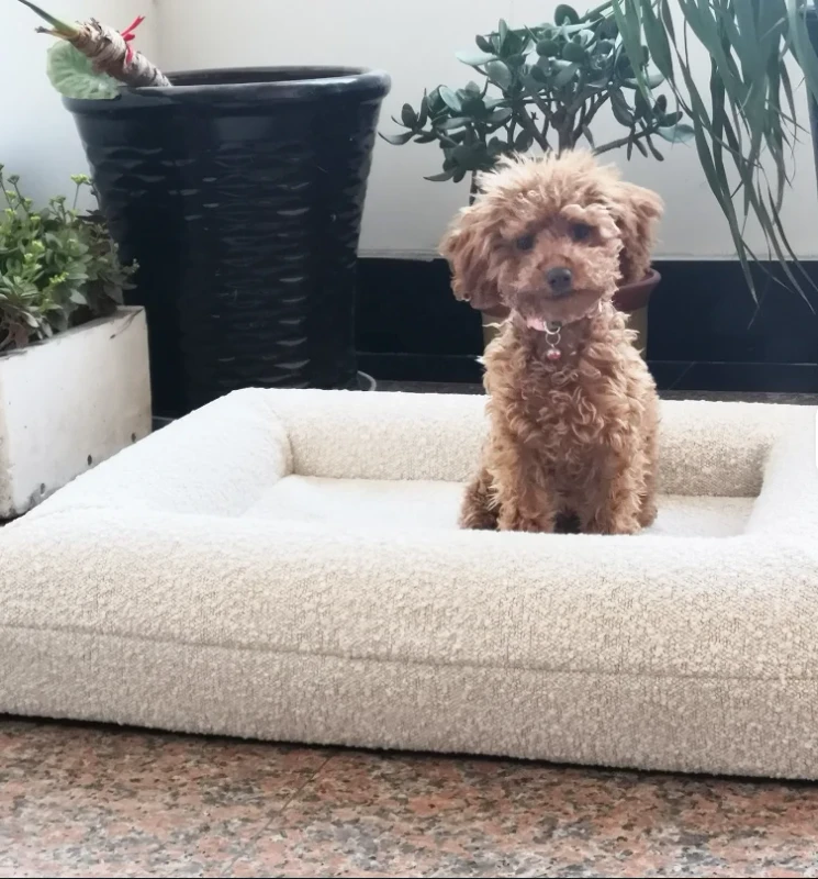 Modern Neutral Color Indoor Pet Beds Furniture Rectangle Oxford Fabric Velvet with Removable Cover Solid Pattern Dog Bed