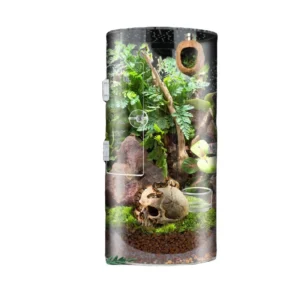 Modern Style Transparent Small Reptile Cage Terrarium for Insect Feeding for Spider & Gecko