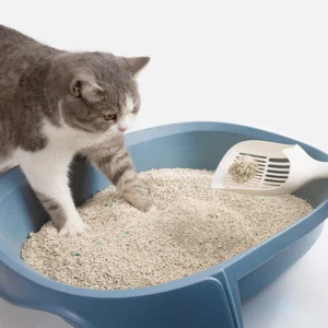 Montmorillonite Based Cat Sand Bentonite Cat Litter in Powder and Granular Appearance