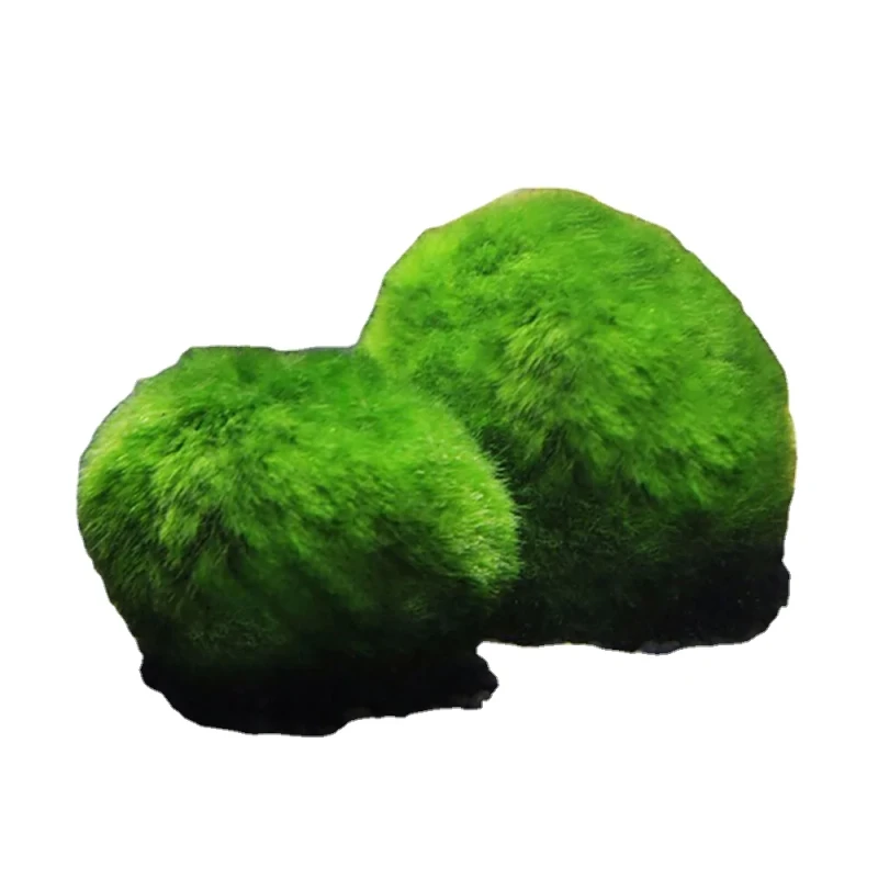 Moss Balls Fish Tank Aquarium Decorations for Aquatic Pet