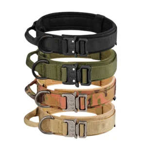 Multi Color Dog Collar Customizable Tactical Style Solid Pattern Nylon Pet Collar with Cartoon Design