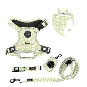 Multi Function 7 in 1 Pet Harness Combo Durable Nylon No Pull Design Custom Logo