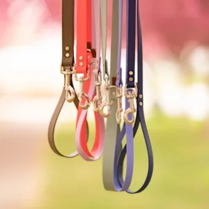 Multi Functional Adjustable Personalized PVC Dog Leash Modern Fashionable Durable Waterproof Solid Pattern