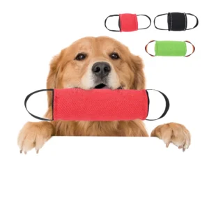 Multi Functional Dog Training Supplies Tear Resistant Fabric Premium Pet Training Accessories
