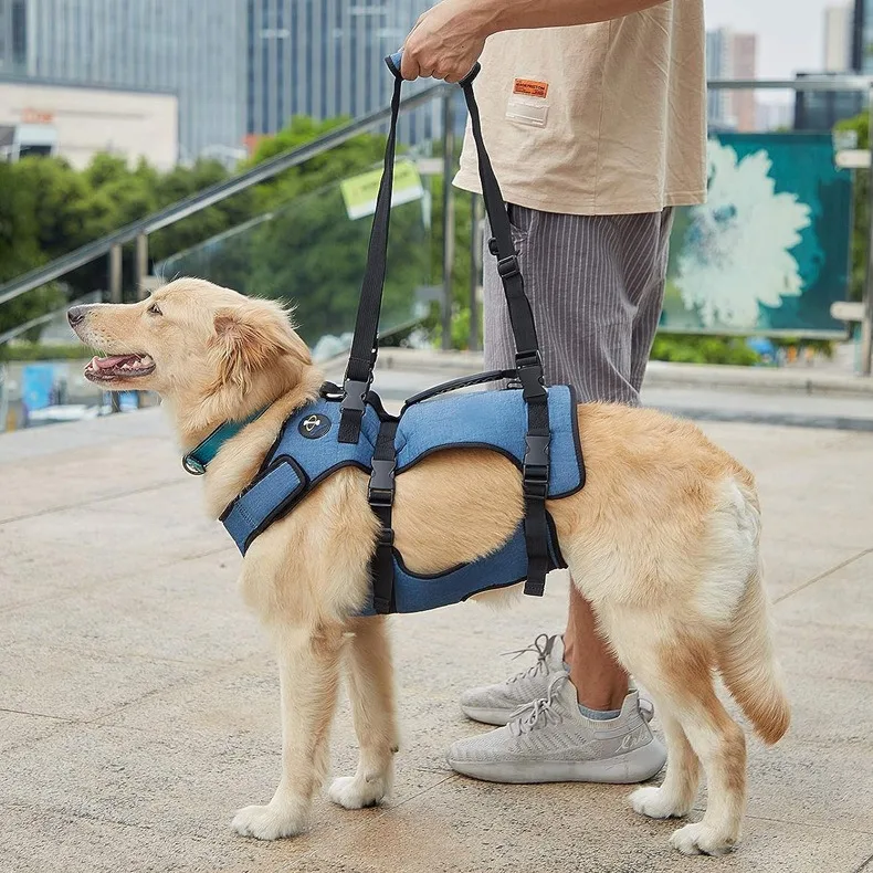 Multi Functional Pet Harness & Dog Lift Harness Set for All Breeds Comfortable & Supportive Walking Solution