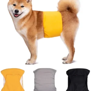 Multi Size Washable Waterproof Leak Proof Reusable Outdoor Polyester Diapers for Male Dogs