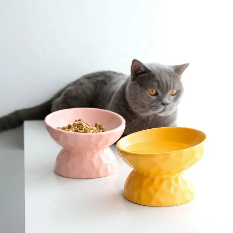 Multi colored Ceramic Pet Feeding Bowl Tiltable Dog Slow Feed Bowls