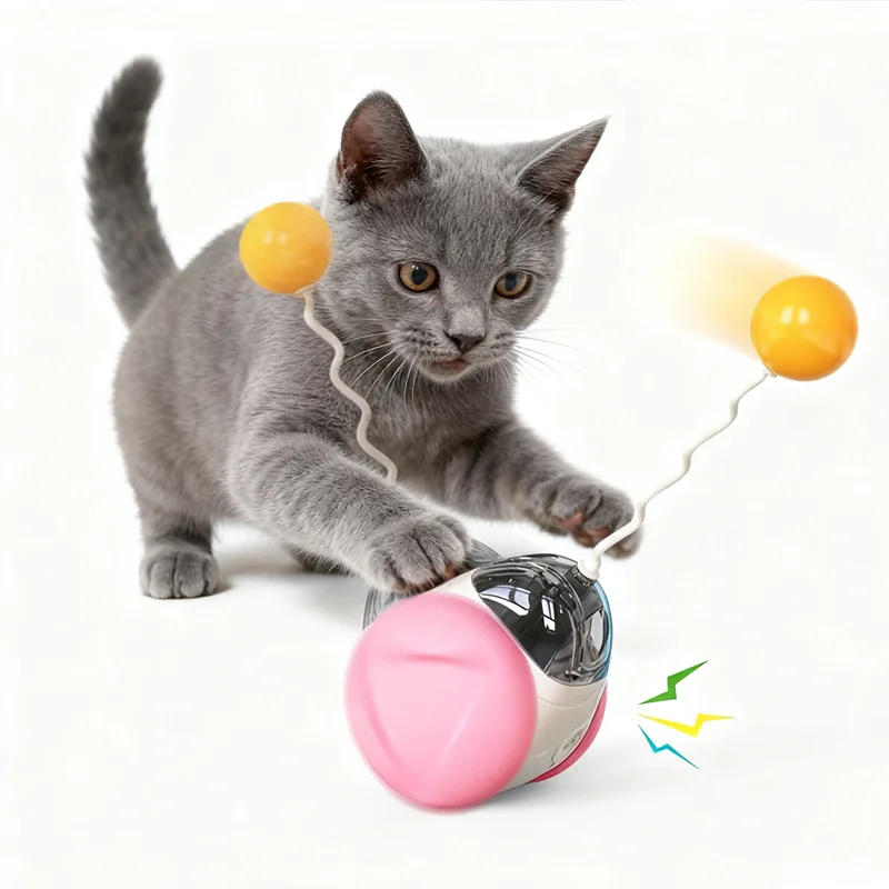 Multi functional Pet Cat Toy Squeaky Move Tumbler Balance Car Interactive Cat Toy for Training