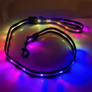 Multicolor LED Illuminating Dog Leash USB Rechargeable Reflective Nylon Pet Lead Can Change Color Light up Dog Walk