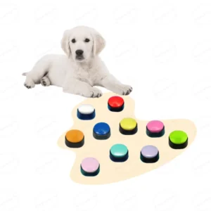 Multicolor Pet Communication Button Dog Recording Voice Box Dog Talk Training Toy