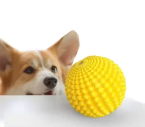 Multifunctional Fun Pet Interaction Training and Playing Bite Resistant Fun Sound Pet Sound Toys Dog Chew Toys