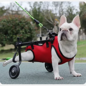 Multifunctional Polyester Pet Harness Assisted Walking Dog Harness for Elderly Disabled Dogs and Surgery Recovery for Cats
