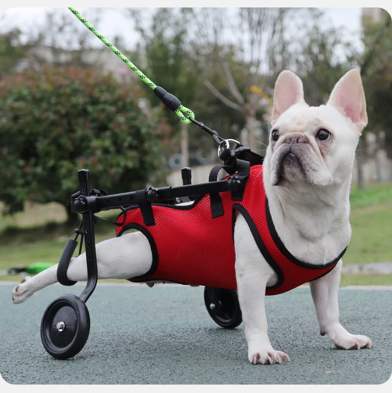 Multifunctional Polyester Pet Harness Assisted Walking Dog Harness for Elderly Disabled Dogs and Surgery Recovery for Cats