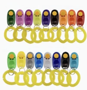 Multiple Styles Available for Customization Multicolored Portable Dog Training Device Suitable for Pet Training