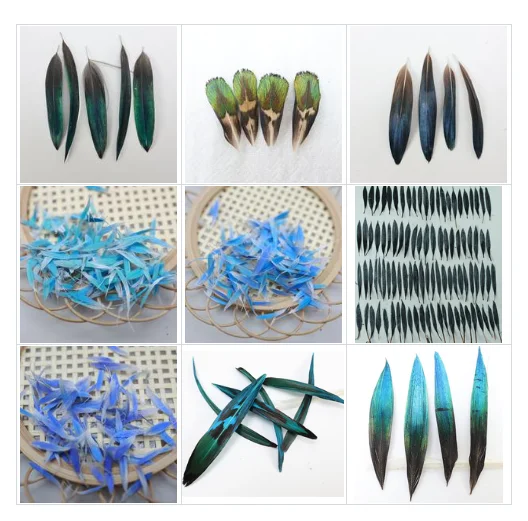 Natural Parrot Peacock Feather Multiple Styles Available Bulk Feather for Handmade Craft Supplies Jewelry Hairpins