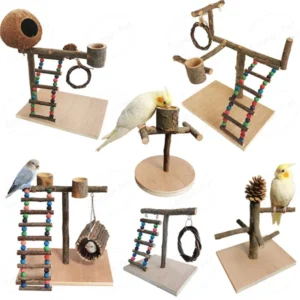 Natural Pet Bird Perch Natural Wood Bird Training Entertaining Parrot Toys