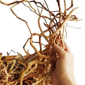 Natural Rhododendron Root Driftwood for Aquarium Fish Tank Decoration Sinking Wood for Aquascaping Shrimp
