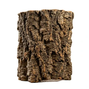 Natural Soft Cork Bark From China Real Champagne Tree Bark for Green Plant Wall Aquarium Decor Wall Sticker Ornament