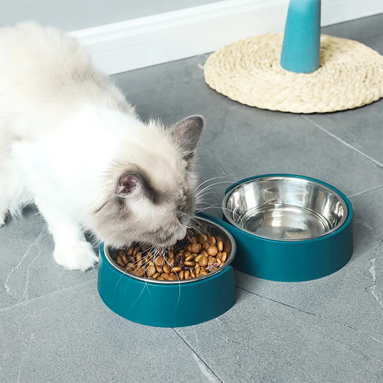 New Arrival Rounded Stainless Steel Eco Friendly Durable Double Pet Bowl Food and Water Feeder for Cats Dogs Small Animals
