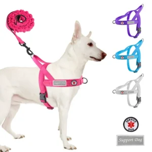 New Cozy Luxury Fashion Adjustable Velvet Padded Eco Friendly Quick Release Lightweight No Pull Pet Dog Harness Customized