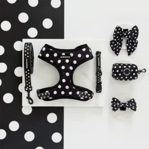 New Design Fashion Luxury Custom Pattern Logo Personalized No Pull Cat Pet Dog Harness Leash Collar Set