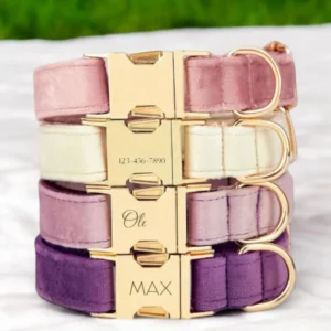 New Design Luxury Custom Dog Collars Leash Harness Set PET Metal Buckle Adjustable Waterproof Velvet Dog Collar for Puppy Big