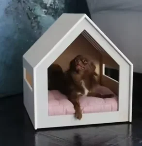 New Design Solid Color Eco Friendly Machine Washable All Year Pet House Tunnel Modern Pet Bed Furniture Indoor Bed