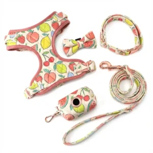 New Design Velvet Embroidery Adjustable Pet Harness Set Custom Supplier Comfortable Dog Vest Collar Harness and Leash Set