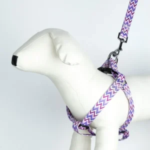 New Manufacturer Custom LOGO Nylon Pet Dog Harness Set Pet Collar Leash Dog Collar and Leash Set