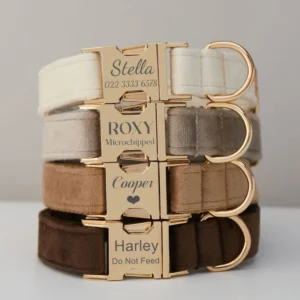 New Product Popular Custom Colors Logo Dog Collar Metal Buckle Velvet Personalized Dog Collar