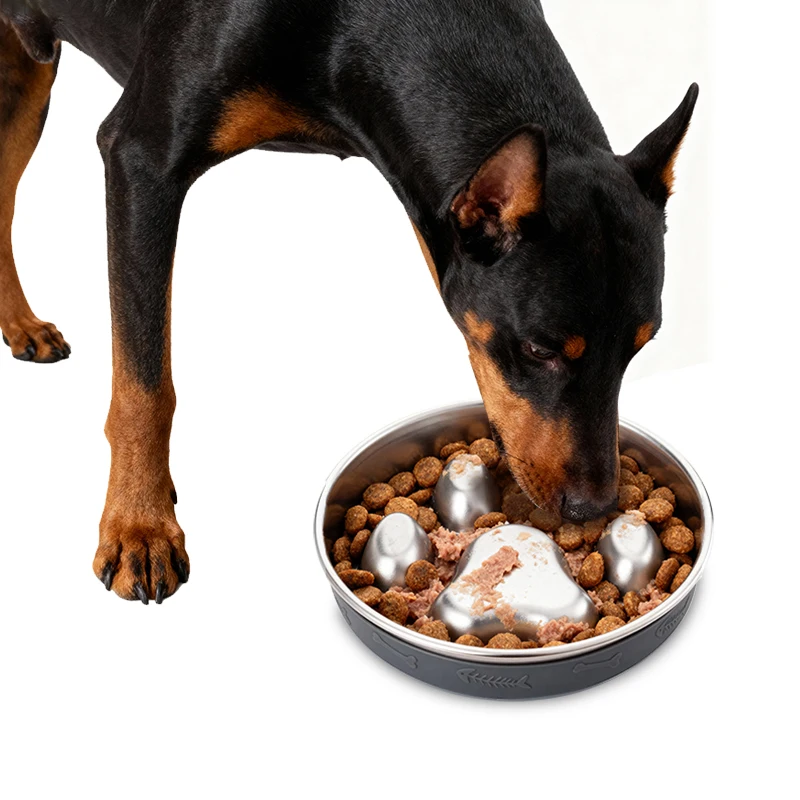 New Stainless Steel 304 Eco Friendly 2 in 1 Slow Feeder BPA Free 1000ml Dog Food Bowl with Silicone Bottom Multiple Styles