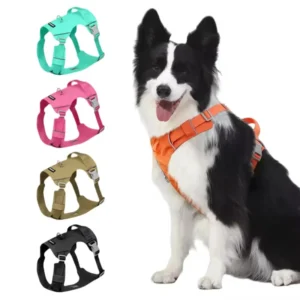 New Style Lightweight Breathable Design Heavy Duty Dog Pulling Harness Dog Lead and Harness