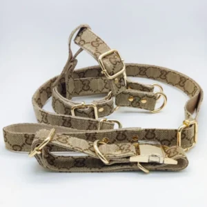 New Trendy Brand GG Dog Leash Harness Thickened PU Leather Metal Socket Solid Pattern Wear Resistant Dog Gear