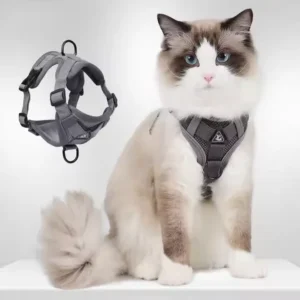 New Vest style cat Chest Harness Leash Reflective Breathable Anti escape Pet Harness with D ring Design for Small Dogs