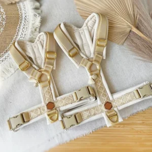 No Pull Design Pet Collars Leashes Adjustable Running Walking Personalized Pet Harness Custom Y Shape Dog Harness Set