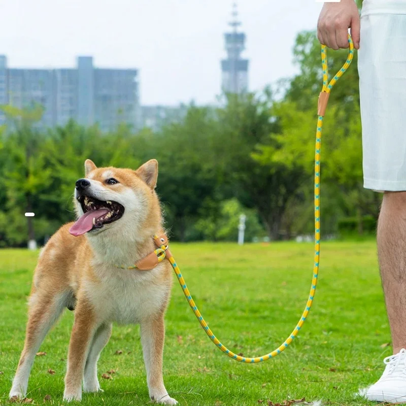 No Pull Dog Training Leash with Comfortable Strong Rope Leash for Large Medium Dogs Heavy Duty Pet Leash
