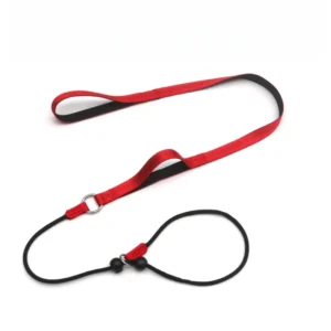 No Tangle Dog Slip Lead Dog Training Leash Puppy Nylon P Chain Cinch Leash No Pull Pet Slip Leash and Collar