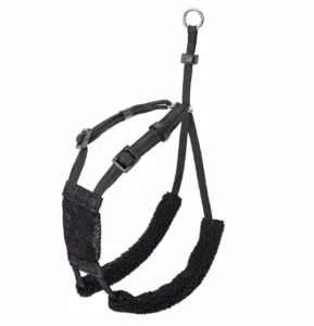 Non Pull Harness for Dogs Dog Accessories Breathable Mesh Dog Harness and Leash Set Puppy Cat Harness Vest