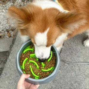 Non Slip Silicone Dog Eating Food Water Bowl Slow Feeding Mat Pet Bowls Feeders Slow Feeder Dog Bowl