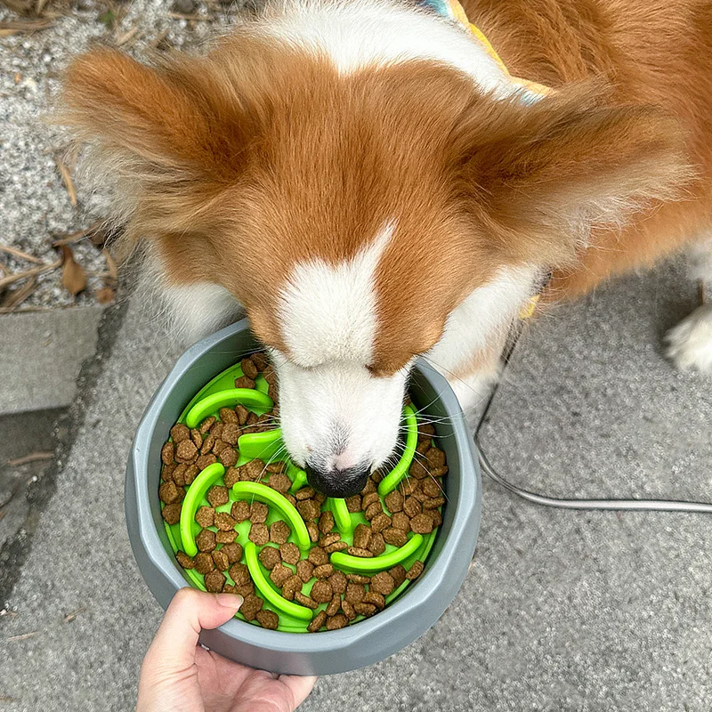 Non Slip Silicone Dog Eating Food Water Bowl Slow Feeding Mat Pet Bowls Feeders Slow Feeder Dog Bowl