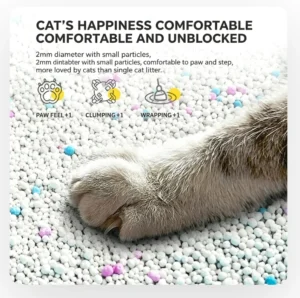 Non-Stick Bottom Bentonite Cat Litter Fast Clumping Dust Free Easy Scoop Cat Litter Bulk Supply