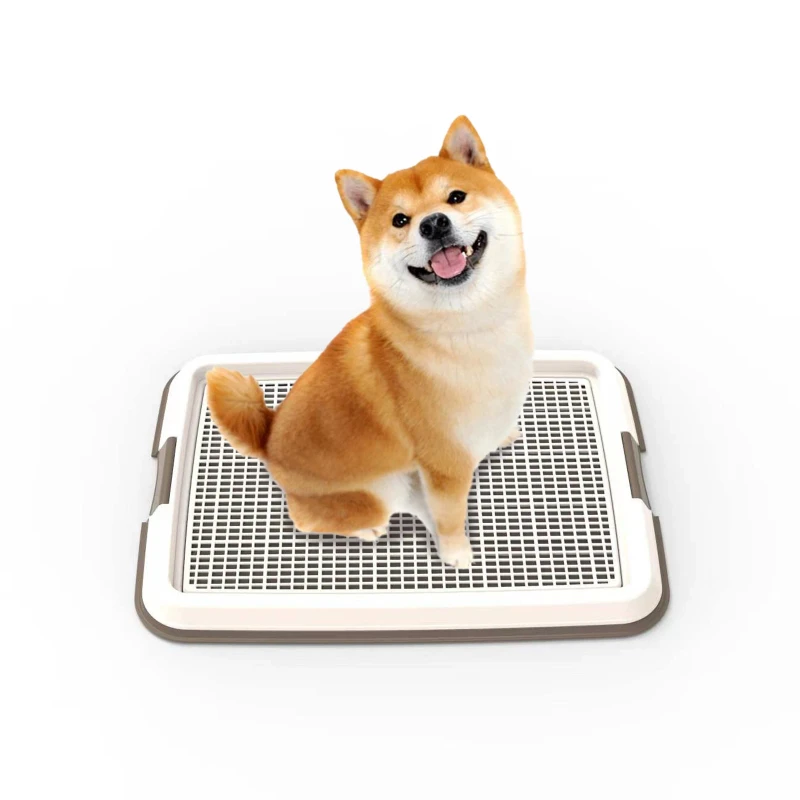 Nonslip Plastic Portable Puppy Pee Pad Holder Indoor Toilet Training Pet Dog Pee Trainer