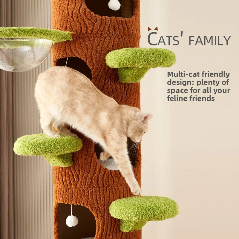 Nordic Style Cat Tree Simple Elegant Climbing Frame As Practical and Beautiful Home Pet Furniture