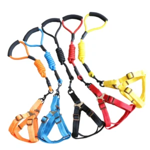 Nylon Adjustable Pet Harness and Leash Set Pet Dog Harness Leash